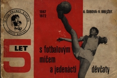 Brožura - Píchová - 001