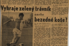 Píchová - novinový článek